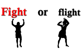 flight-or-flight-image